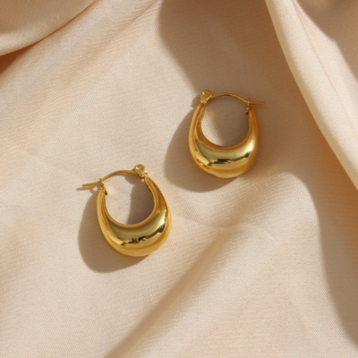EVIE Sophisticated Earrings
