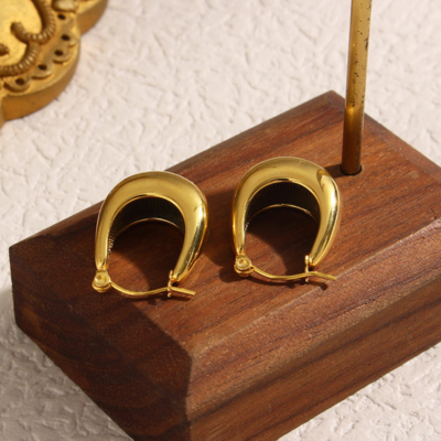 EVIE Sophisticated Earrings