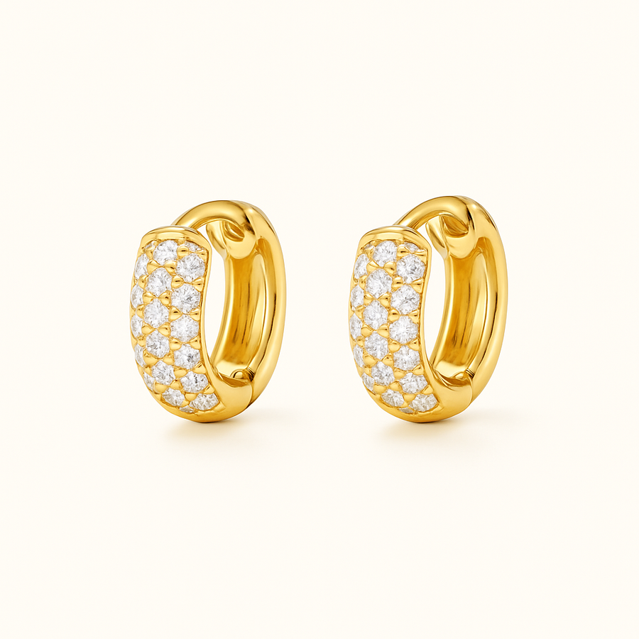 AMY Sophisticated Earrings