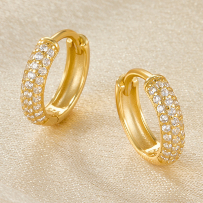 AMY Sophisticated Earrings